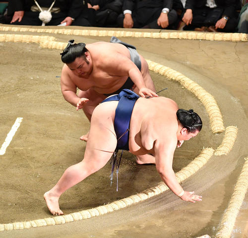 貴景勝（上）は御嶽海を突き落としで破る（撮影・柴田隆二）