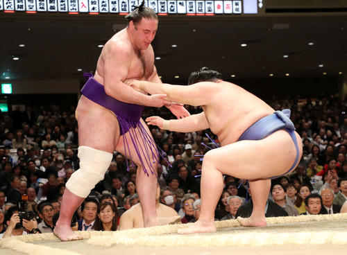 栃ノ心（左）を寄り切りで破る正代（撮影・鈴木正人）