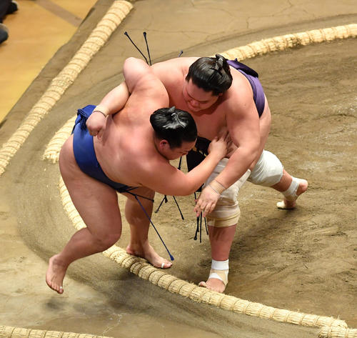 照ノ富士（右）は美ノ海を寄り倒しで破る（撮影・柴田隆二）