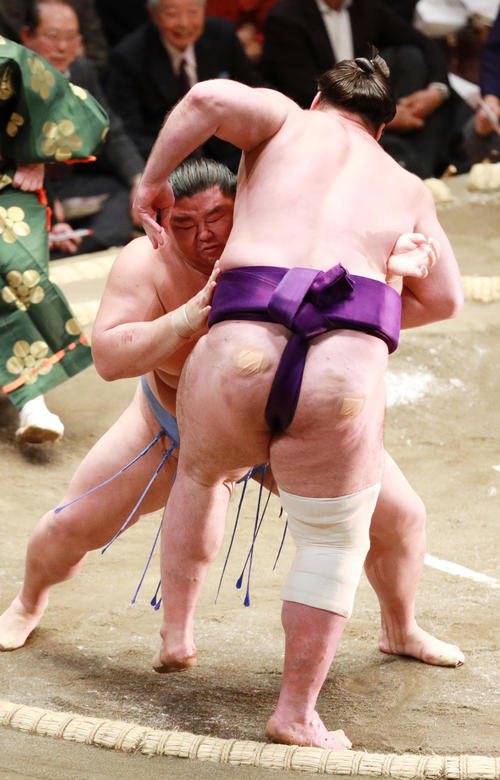 栃ノ心（手前）を寄り切りで破る正代（撮影・中島郁夫）