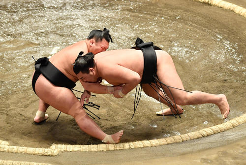 照強（左）は霧馬山を小手投げで破る（撮影・柴田隆二）