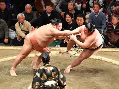 千代大龍（左）は豊山を突き倒しで破る（撮影・柴田隆二）