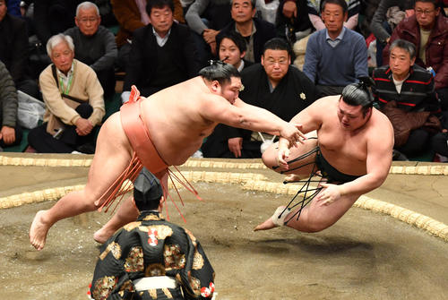 千代大龍（左）は豊山を突き倒しで破る（撮影・柴田隆二）