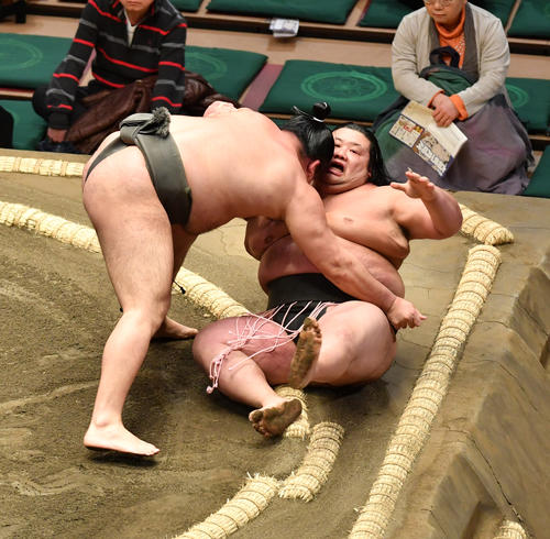 元林（右）は琴太豪に寄り倒しで敗れる（撮影・柴田隆二）