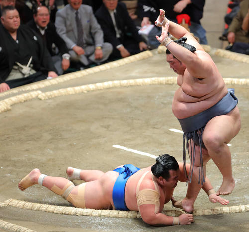 琴奨菊（左）を突き落としで破る徳勝龍（撮影・河田真司）