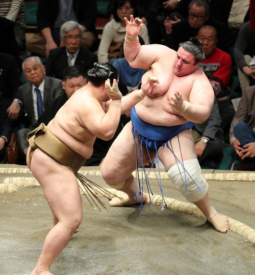 碧山（右）を押し出しで破る輝（撮影・鈴木正人）