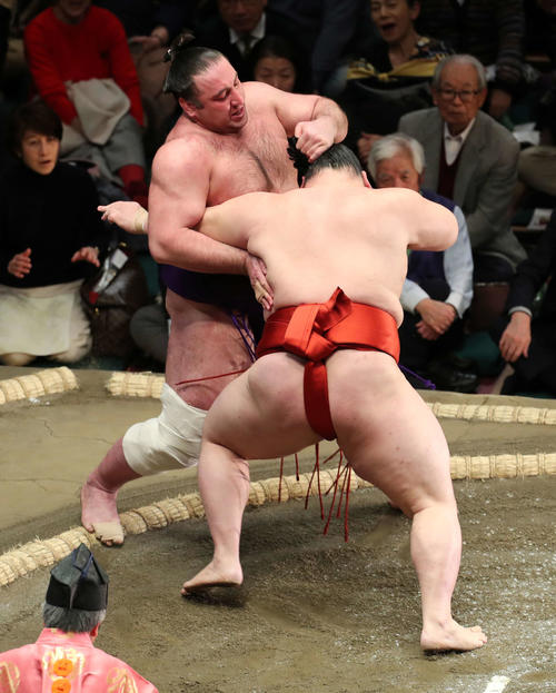 栃ノ心（左）を押し出しで破る隆の勝（撮影・鈴木正人）