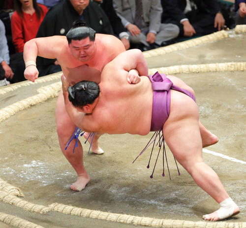 朝乃山（右）をすくい投げで破る正代（撮影・河田真司）