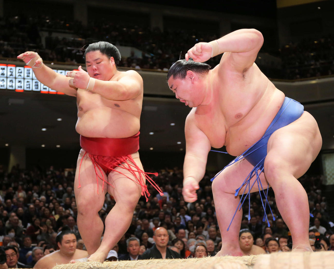 大栄翔（左）を押し出しで破る正代（撮影・河田真司）