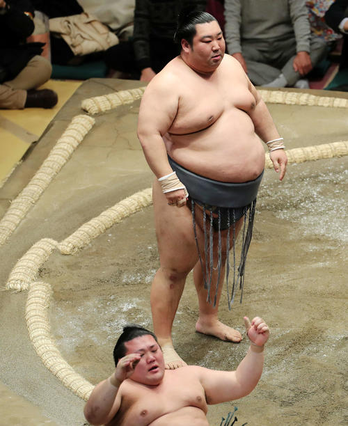 豊山（下）を突き落としで破る徳勝龍（撮影・鈴木正人）