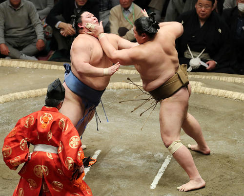輝（右）の攻めを耐える正代（撮影・鈴木正人）