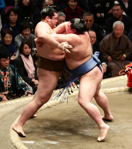 輝を寄り切った正代（右）（撮影・丹羽敏通）