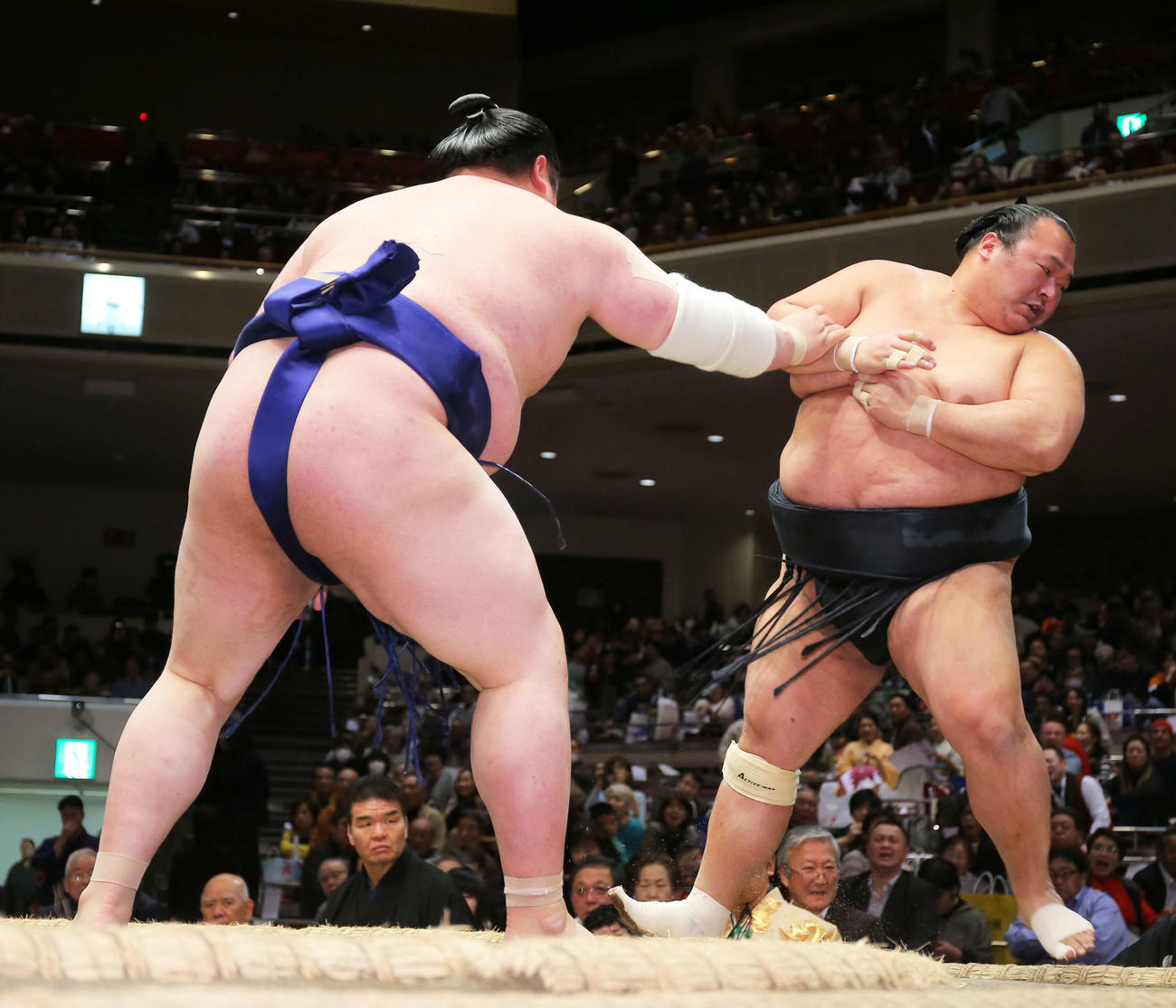 貴源治（左）に押し出しで敗れる豊ノ島（撮影・河田真司）