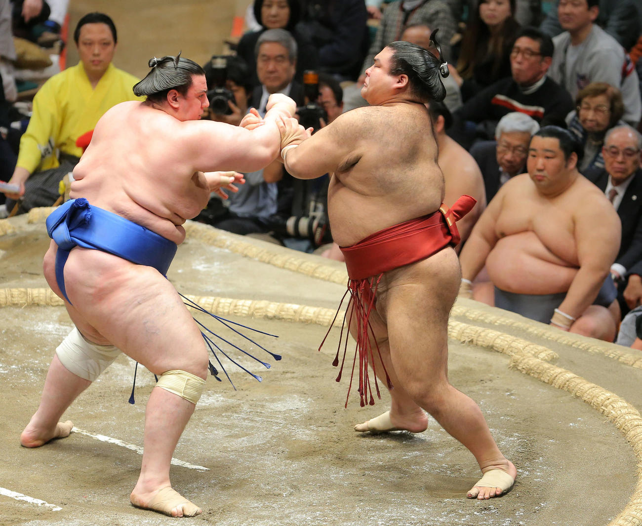碧山（左）の攻めに耐える高安。右は徳勝龍（撮影・河田真司）