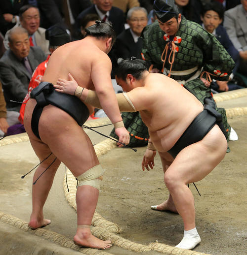 東龍（左）を寄り切りで破る隠岐の海（撮影・河田真司）