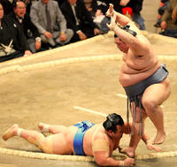 19日、琴奨菊（左）を突き落としで破る徳勝龍（撮影・河田真司）