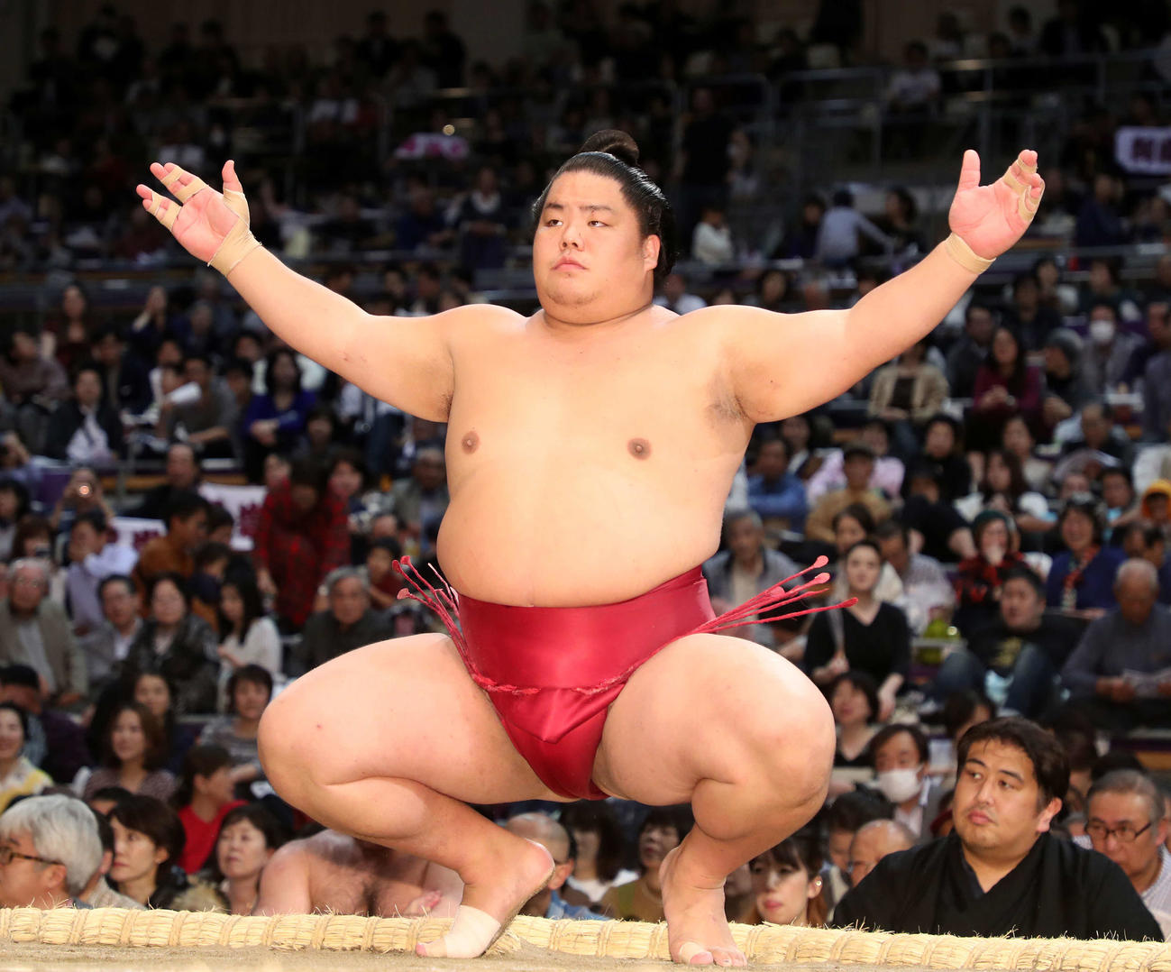 大栄翔（2019年11月13日撮影）