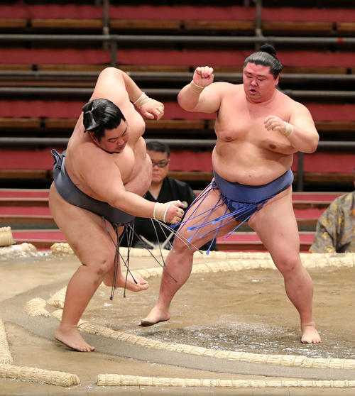 徳勝龍（左）を押し出しで破る正代（撮影・鈴木正人）