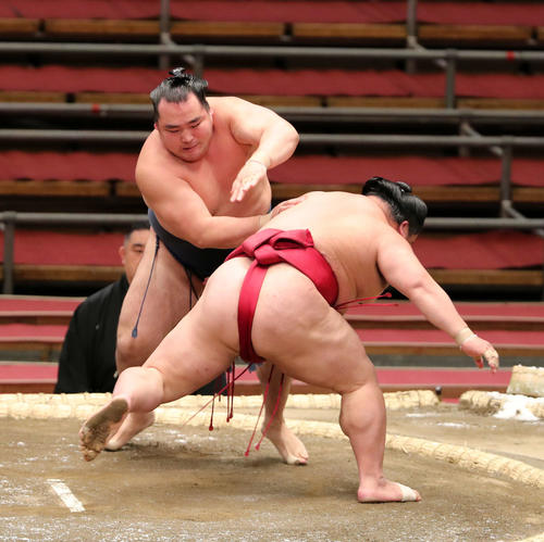 大栄翔（右）を送り出しで破る鶴竜（撮影・鈴木正人）