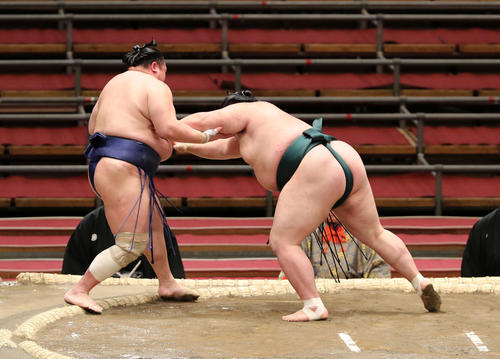 北勝富士（左）を押し出しで破る豊山（撮影・鈴木正人）