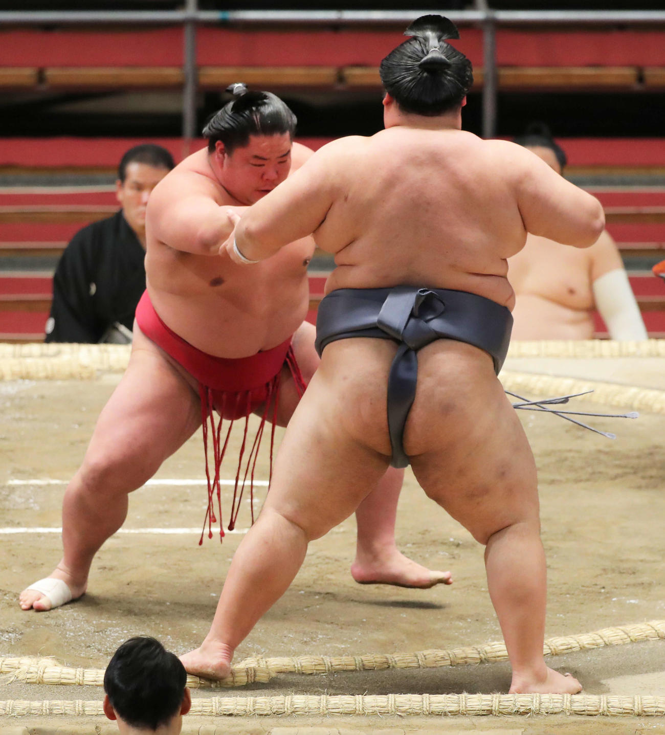 徳勝龍（右）を押し出しで破る大栄翔（撮影・河田真司）