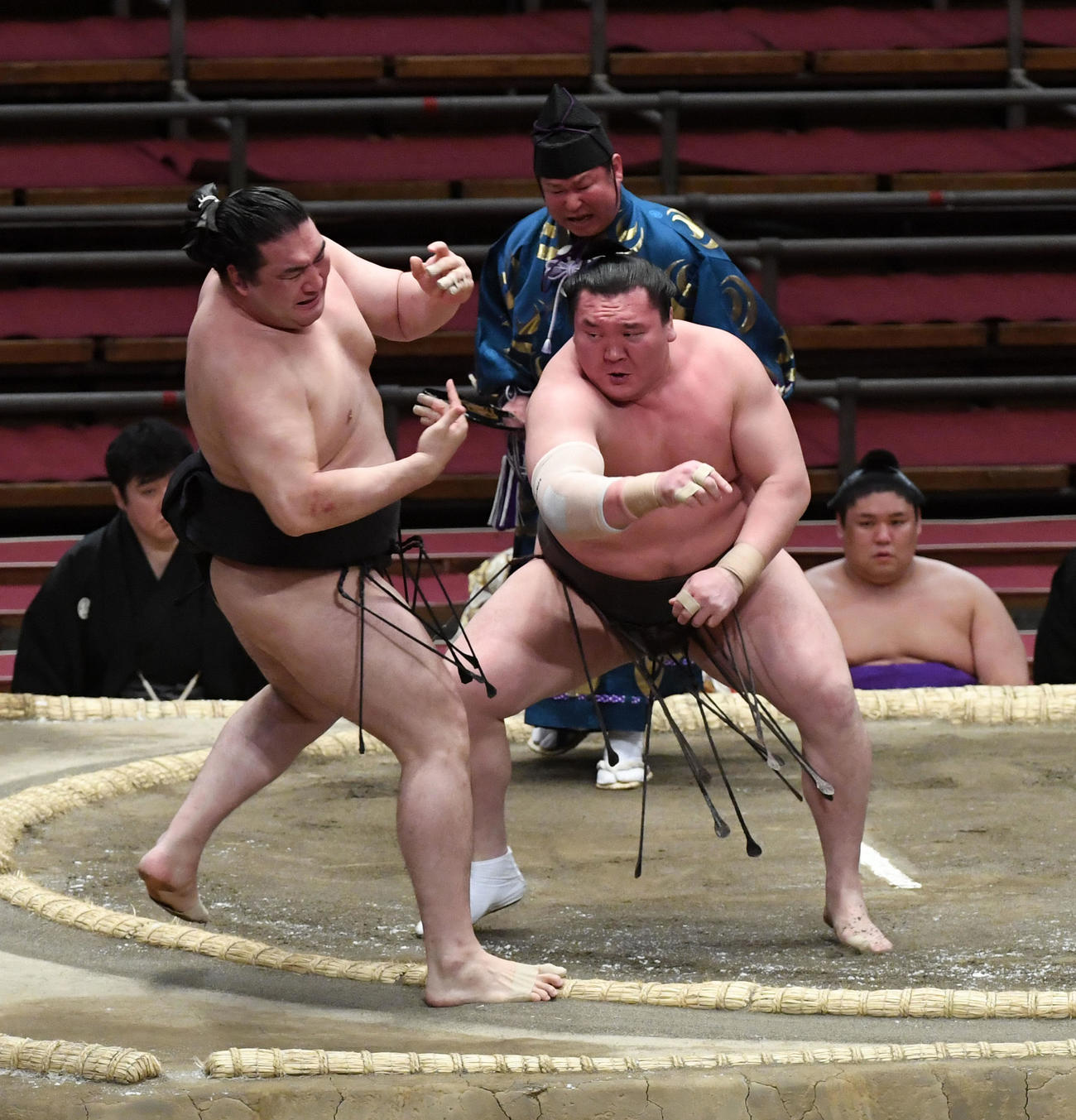 白鵬（右）は竜電を押し出しで破る（撮影・前岡正明）