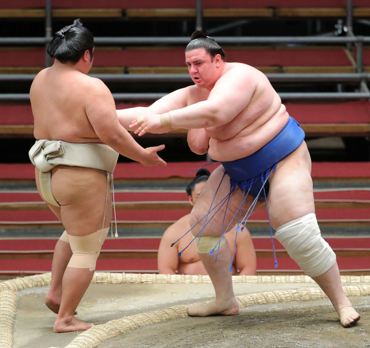 志摩ノ海（左）を突き出しで破り1敗を守った碧山（撮影・河田真司）