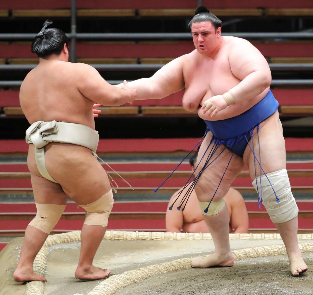 志摩ノ海（左）を突き出しで破り1敗をキープする碧山（撮影・河田真司）