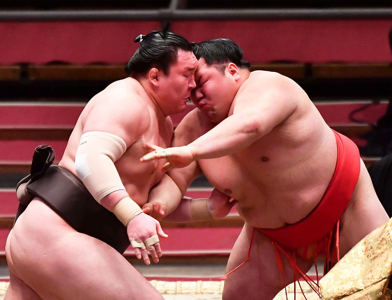 白鵬（左）と頭をぶつけあう阿武咲（撮影・上田博志）