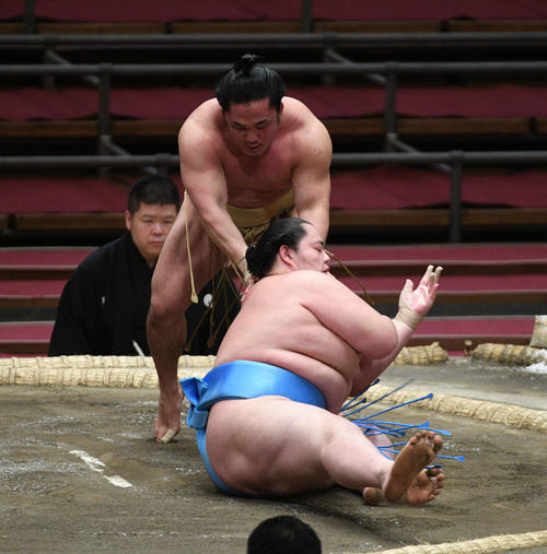 石浦が押し倒しで琴ノ若を破る（撮影・渦原淳）