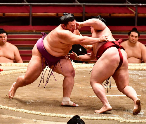 朝乃山（左）は押し倒しで隆の勝を下す（撮影・小沢裕）