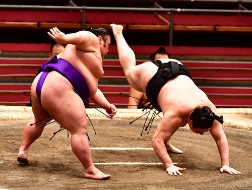 貴景勝（左）は竜電を突き落としで下す（撮影・小沢裕）