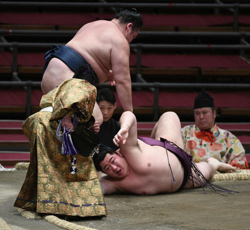 遠藤を上手投げに破る鶴竜（撮影・渦原淳）