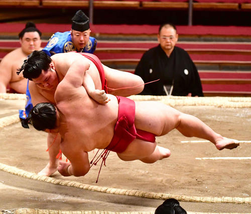阿武咲（上）は大栄翔を寄り倒しで下す（撮影・小沢裕）
