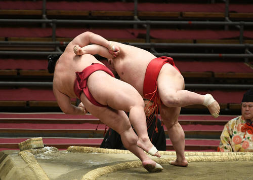 大栄翔を寄り倒しに破る阿武咲（撮影・渦原淳）