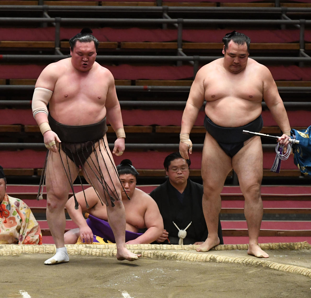 白鵬（左）は鶴竜を寄り切りで破る（撮影・前岡正明）