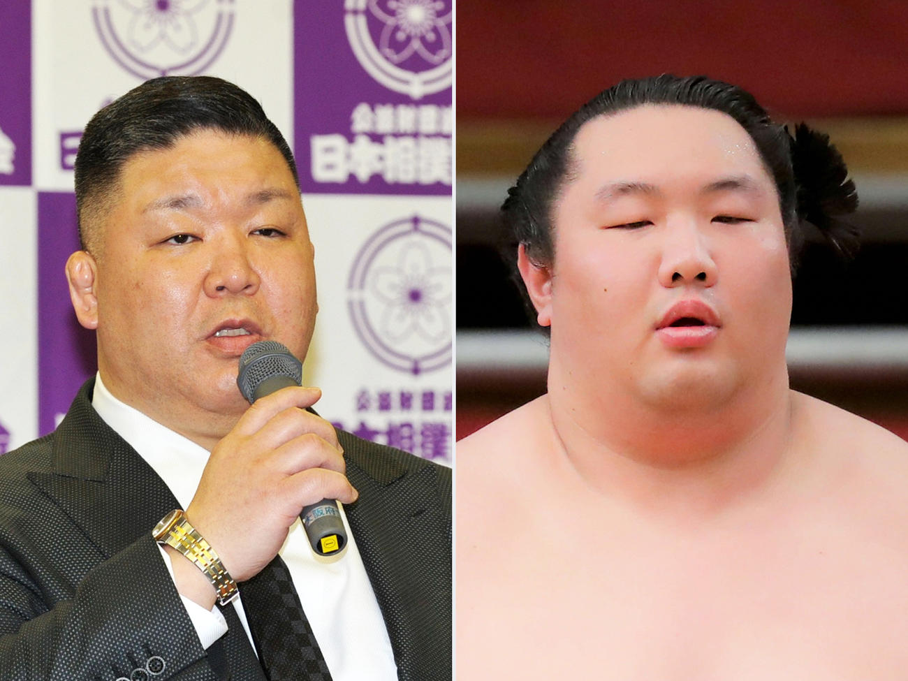 高田川親方（左）と十両白鷹山