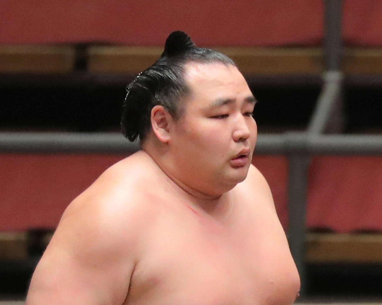 鶴竜
