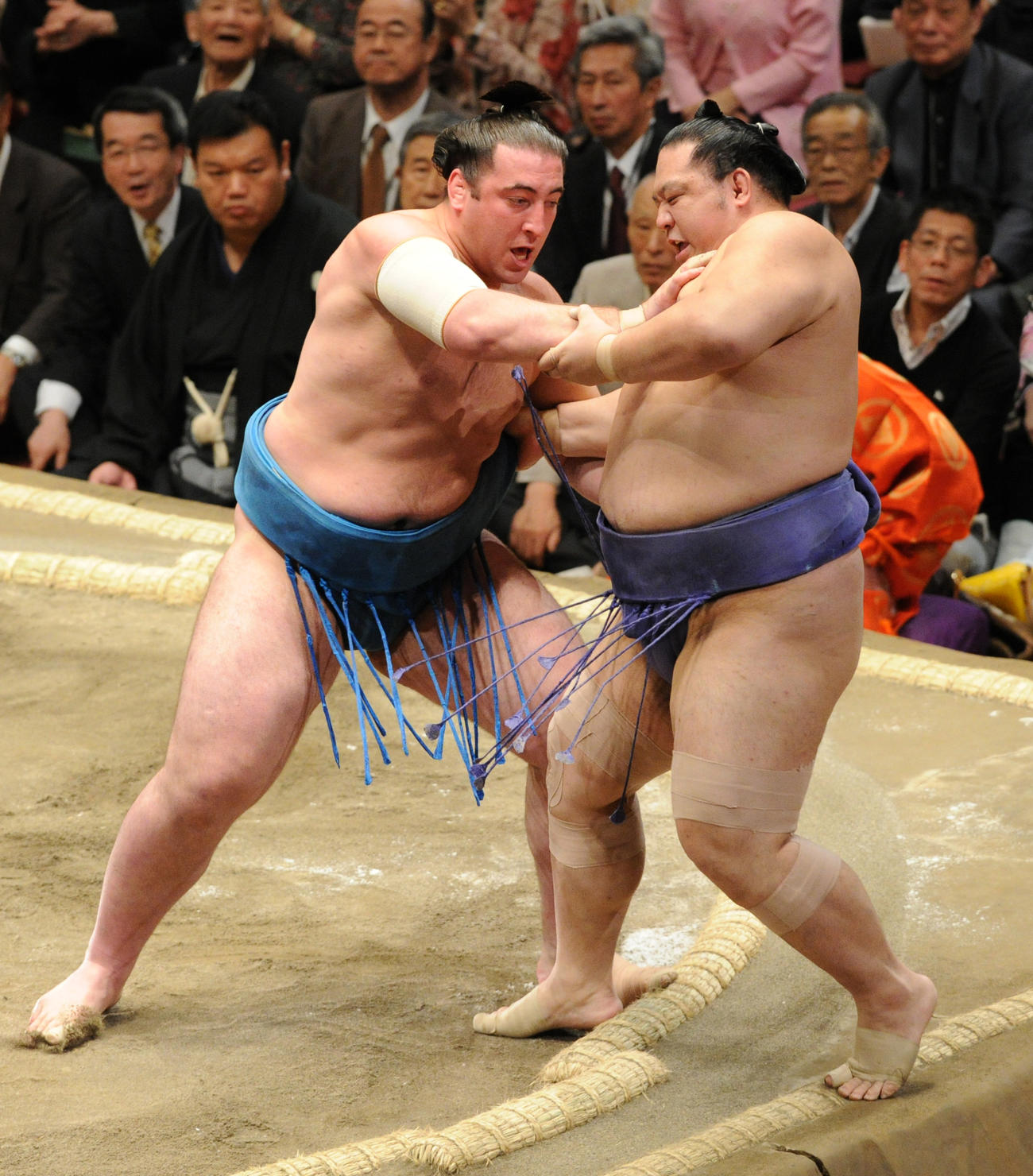 大相撲夏場所5日目　魁皇（右）を寄り切る栃ノ心（2010年5月13日撮影）