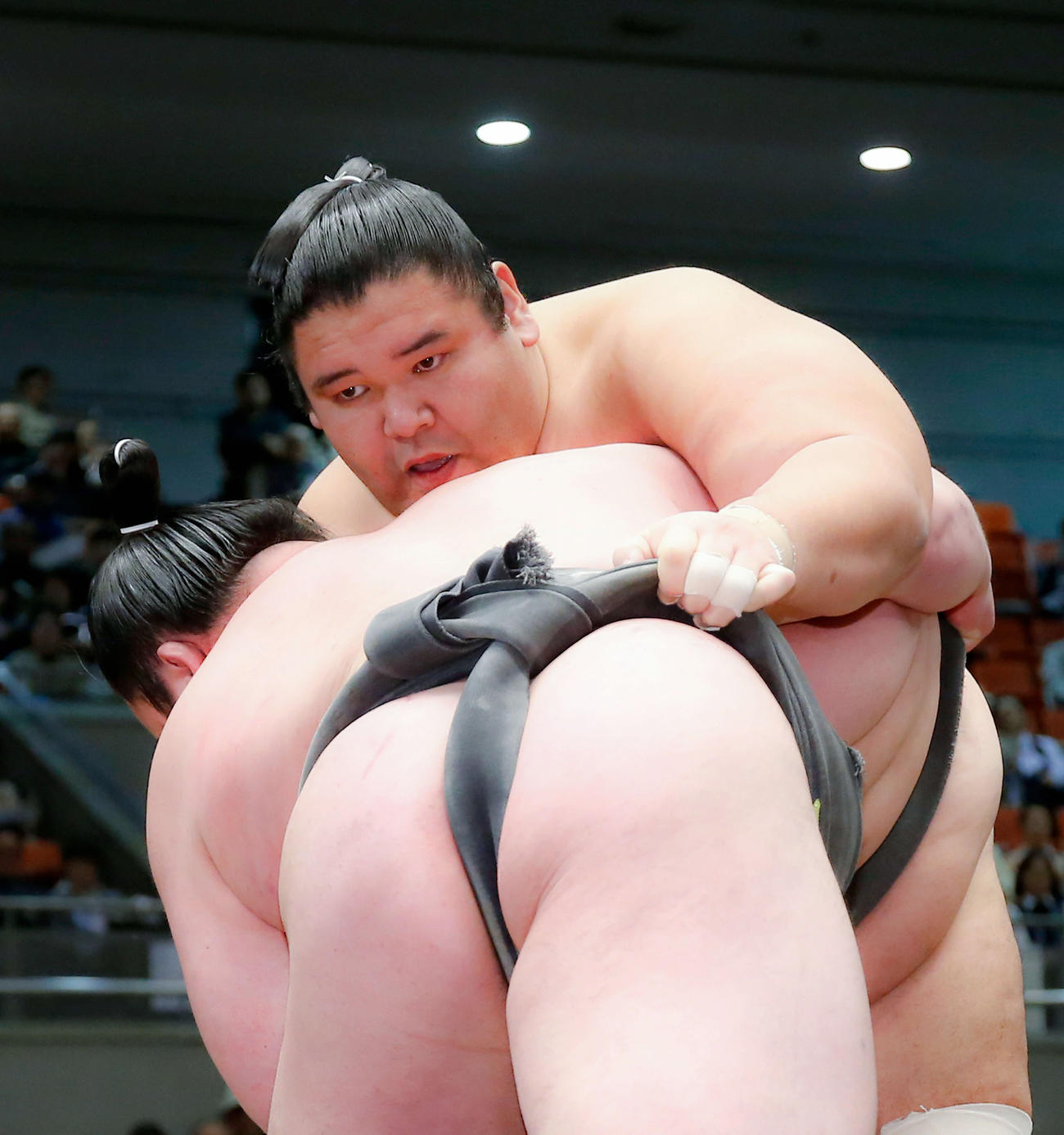 徳真鵬