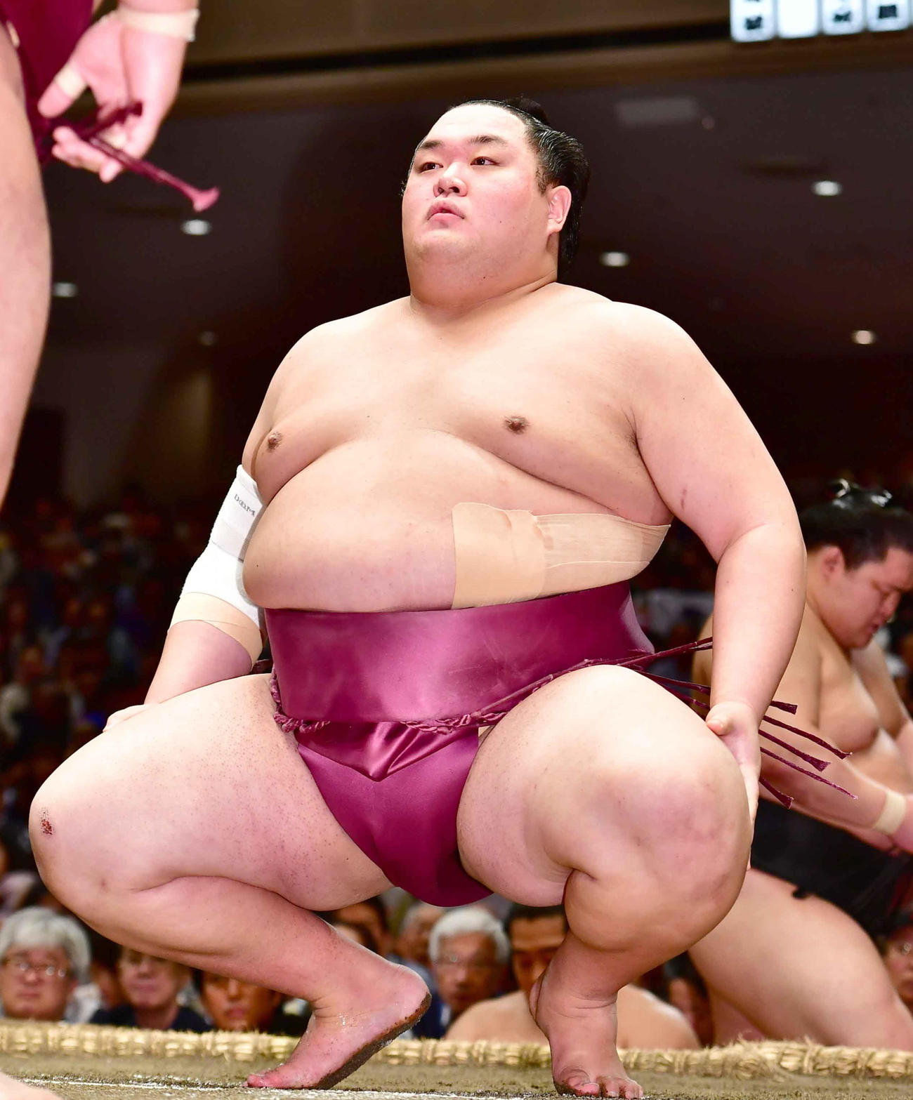 友風（2019年9月16日撮影）