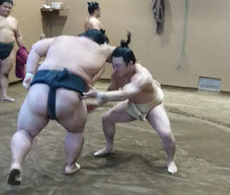 若い衆を相手に相撲を取る炎鵬（右）