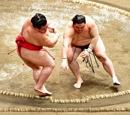 隠岐の海（右）は押し出しで阿武咲を下す（撮影・小沢裕）