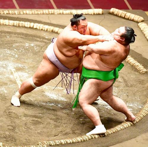琴勇輝（左）は突き出しで千代丸を下す（撮影・小沢裕）