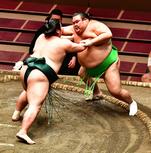 錦木（左）は千代丸を押し出しで下す（撮影・小沢裕）