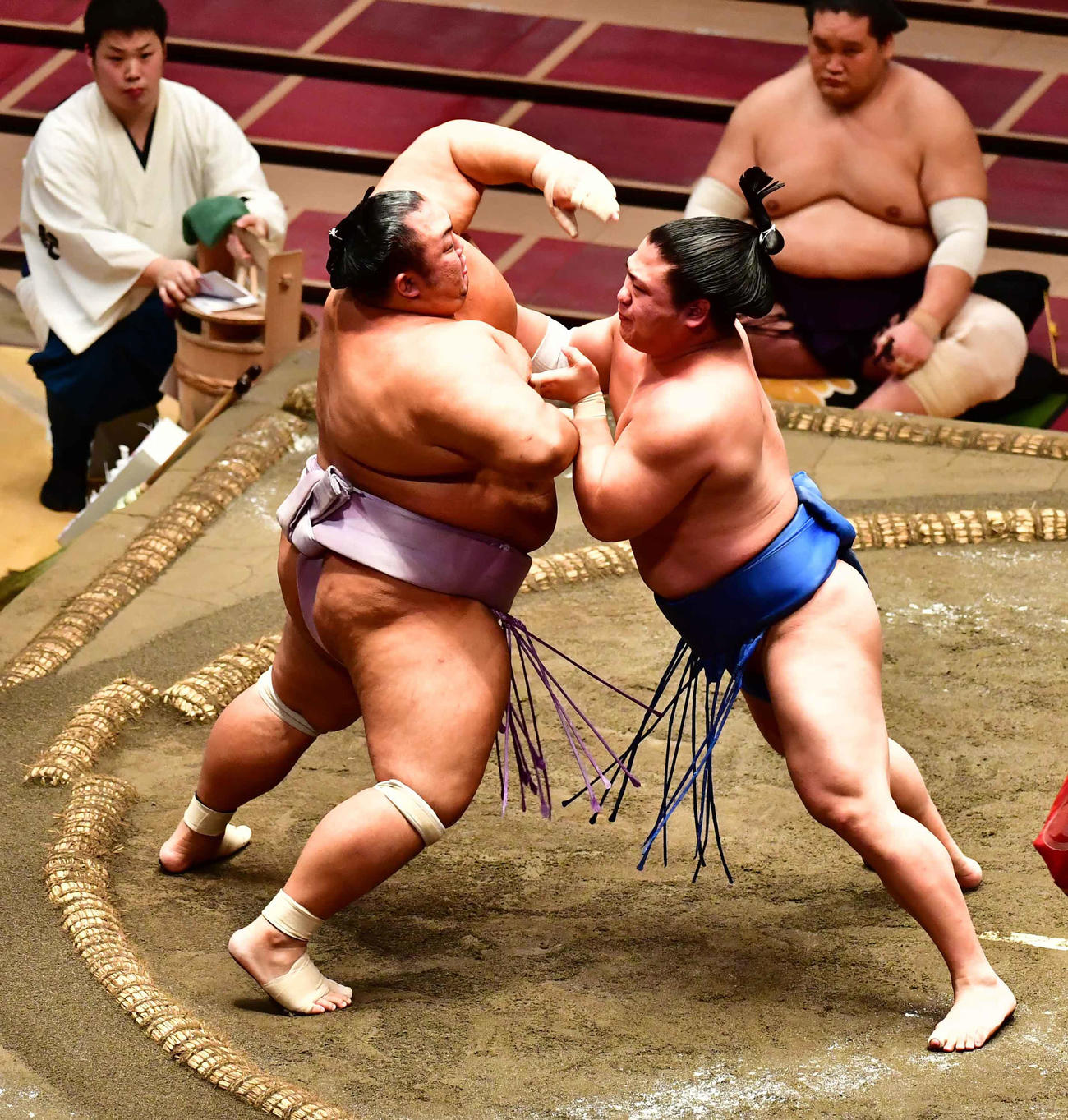 若隆景は琴勇輝（左）を押し出しで下す（撮影・小沢裕）