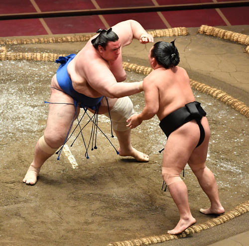 碧山（左）は照強を突き出しで破る（撮影・柴田隆二）