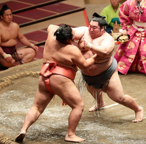 千代大龍（左）を突き出しで破った徳勝龍（撮影・丹羽敏通）