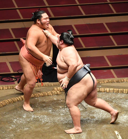 徳勝龍（右）は千代大龍を突き出しで破る（撮影・柴田隆二）