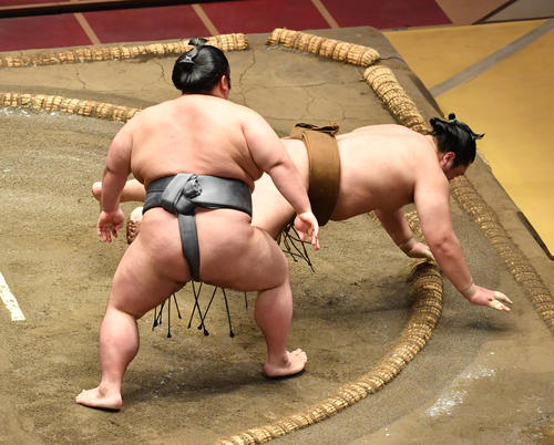貴景勝（左）は輝を突き落としで破る（撮影・柴田隆二）